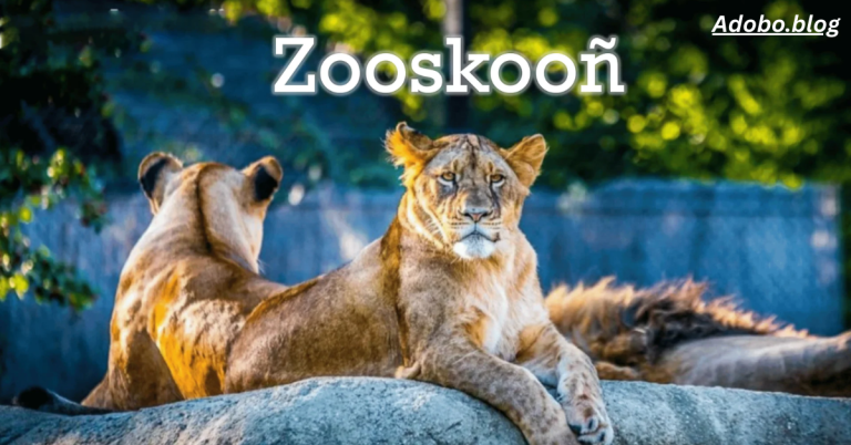 Zooskooñ: The Future of Wildlife Preservation with Immersive Technology 2025